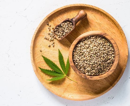 metodos para germinar una semilla de cannabis
